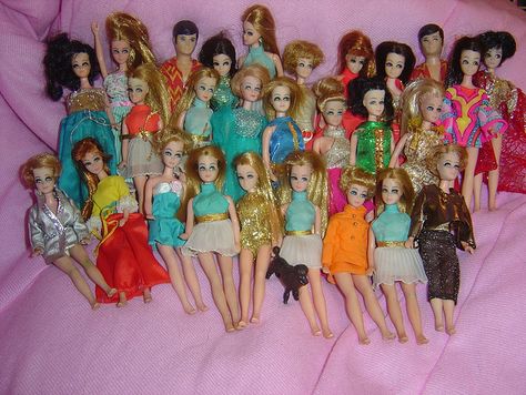 Dawn dolls. I only had one or two and my dog chewed one hand off one. Barbie Things, Happy Childhood, Dawn Dolls, Beautiful Barbie Dolls, Vintage Memory, Long Locks, Red Head, Old Dolls, Vintage Barbie Dolls