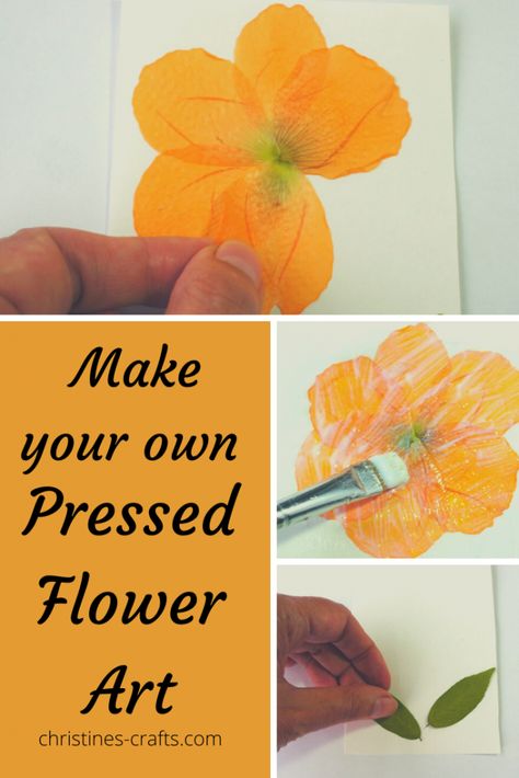 How to DIY Pressed Flower Art ~ Christine's Crafts Dried Flower Petals Crafts, Diy Pressed Flower Art, Pressed Flower Cards, Pressed Botanical Art, Pressed Flowers Diy, Flower Petal Art, Flower Projects, Flower Pressing, Pressed Flower Crafts