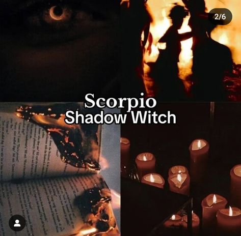 Scorpio Witch, Scorpio Core, Scorpion Sign, Shadow Witch, Zodiac Mind Scorpio, Zodiac Quotes Scorpio, Preppy Blogs, Astrology Scorpio, Taurus And Aquarius