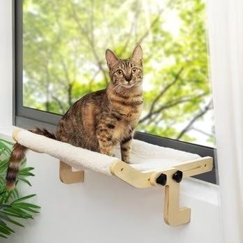 Cat Window Perches: Best Cat Perch Prices (Free Shipping) | Chewy Cat Window Hammock, Cat Window Perch, Window Perch, Indoor Hammock, Cat Tree Condo, Hanging Hammock, Cat Window, Cat Perch, Cat Hammock