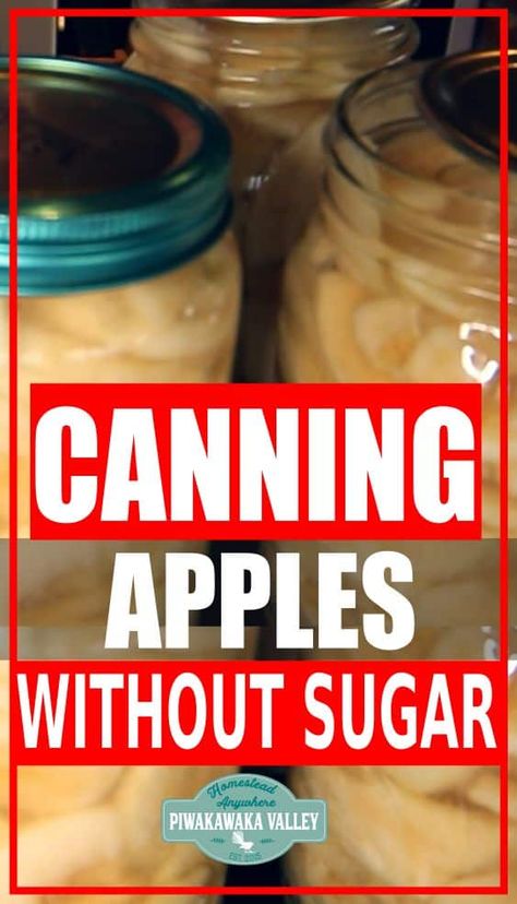 Canning apples without sugar. How to preserve apples sugar free. These effective instructions will safely can apples with no additional sugar. Canning Fresh Apples, Ways To Can Apples, Apple Canning Recipes, Can Apples, Apple Canning, Water Canning, Preserve Apples, Preserving Apples, Canning Apple Pie Filling