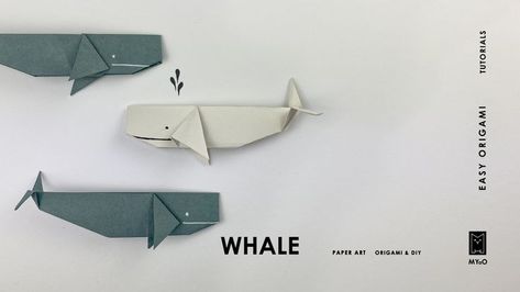 #Origami #Origami_easy #origami_fish #whale #origami_whale Origami Whale Step By Step, Whale Paper Craft, Origami Ocean Animals, Origami Ocean, Whale Origami, Presente Diy, Toilet Paper Tube, Cute Origami, Origami Fish