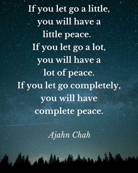 Had I know letting go of shame would feel this way I would have done it a long time ago.  As I lay me down to sleep I do so with a sense of peace that I forgot what it feels like.  The crazy thing is there is a little voice that I will absolutely ignore that is trying to tell me I deserve this.  The devil is a liar!  Great night to those who are up...Great morning to those who see this when they rise.  Peace & Blessings to all. (Even Trump) Detachment Quotes, Positive Quotes For Life Happiness, Peter O'toole, Letting Go Quotes, Under Your Spell, Go For It Quotes, Life Quotes Love, Sassy Quotes, Let Go