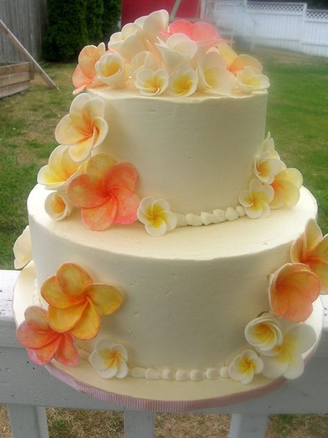 Some Plumeria Flowers would be pretty mixed with the hibiscus on top and a few scattered on the sides of the top tier with the shells. Plumeria Wedding, Hawaiian Wedding Cake, Summer Birthday Cake, Tropical Wedding Cake, Beach Cake, Cake With Flowers, Round Wedding Cakes, Pretty Birthday Cakes, Cute Birthday Cakes