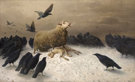 painting of lamb surrounded by ravens Albrecht Schenck #painting #sheep #birds classic art #crow #5K #wallpaper #hdwallpaper #desktop August Friedrich, Crow Painting, Sheep Paintings, Art Noir, Crow Art, Painting Words, Art Classique, Hur Man Målar, Textured Canvas Art