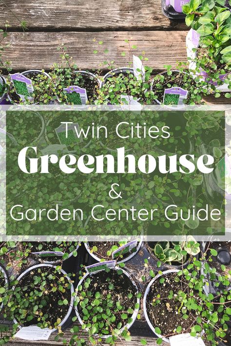 I’m sharing my most frequented and beloved plant shops, greenhouses, garden centers and nurseries in the Twin Cities. As we approach the spring gardening season, it’s the perfect time to start planning your visits to your favorite garden stops. Each place has its unique charm and is a must-see for any gardening enthusiast, or local plant lover whether you’re a Minnesota resident or a visitor. Click through to find the guide. Happy spring! Minnesota Garden, Vegetable Planting Guide, Plant Shops, Greenhouse Garden, Spring Gardening, Garden Centers, Greenhouse Gardening, Seasonal Garden, Happy Spring