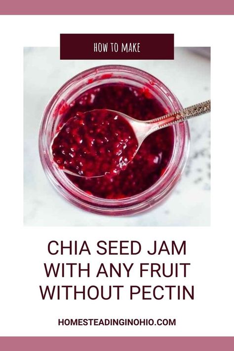 Easy Jam Recipes, Strawberry Jam Recipe No Pectin, Low Sugar Strawberry Jam Recipe, Blueberry Chia Seed Jam, Chia Seed Jam Recipe, Sugar Free Jam Recipes, Sugar Free Strawberry Jam, Blackberry Peach, Easy Jam Recipe