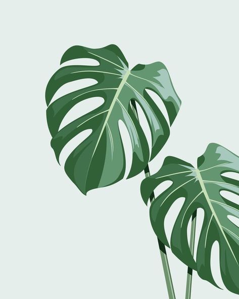 Plant Art Drawing, Monstera Plant Art, Decorate A Dining Room, 수채화 그림, Monstera Plant, Plant Painting, Etsy Art Prints, Plant Drawing, Plant Illustration