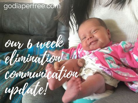 We've been doing Elimination Communication from birth with baby Twyla. You may have been following our progress and are curious about what it's been like over the last 6 weeks ECing her from birth… Or, if you haven't been following us on Instagram or Facebook, you may be curious about how Elimination Communication looks with any… Elimination Communication Newborn, Elimination Communication, Teaching Babies, Nursery Toys, Be Curious, Future Children, Baby Tips, Baby Health, Potty Training