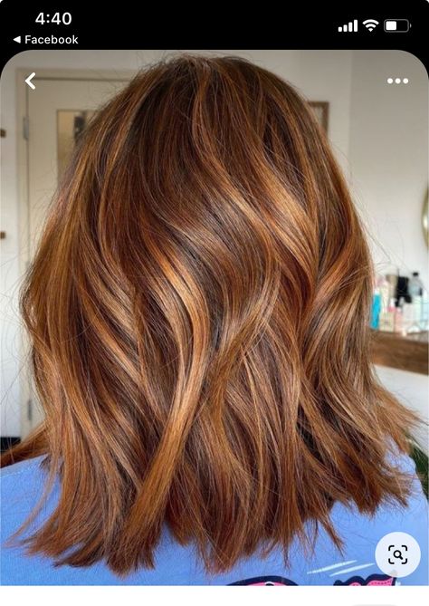 Auburn Hair With Highlights, Deep Auburn Hair, Light Auburn Hair Color, Brown Auburn Hair, Auburn Red Hair, Light Auburn Hair, Dark Auburn Hair, Fall Hair Color Ideas, Red Brown Hair