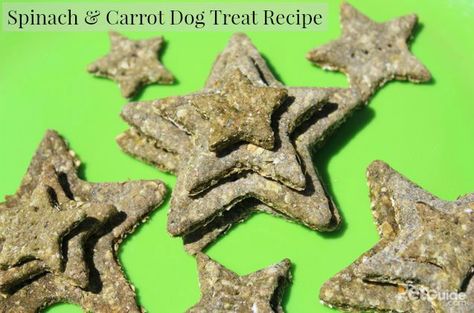 The perfect way to hide the power of spinach is in a delish treat! Banana Dog Treat Recipe, Dog Cookie Recipes, Soft Dog Treats, Carrot Dogs, Butter Carrots, Easy Dog Treat Recipes, Dog Treat Recipe, Dog Food Treats, Easy Dog Treats