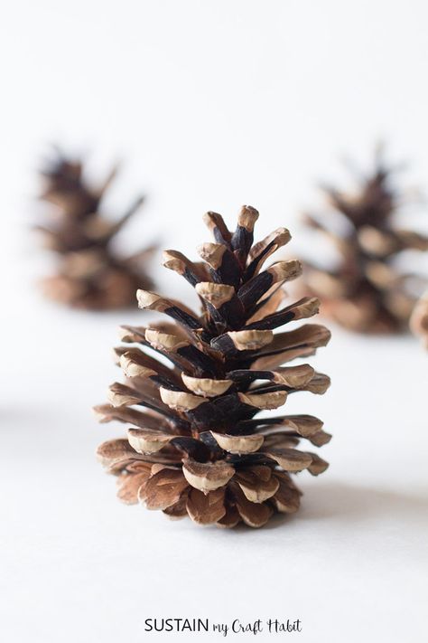 There are so many creative ways to use pine cones in your crafting, wedding, home decor and more. Learn how to clean pine cones naturally before crafting! Bleach Pinecones, Pinecone Flowers, Natural Christmas Wreaths, Pinecone Crafts Christmas, Cone Crafts, Christmas Pine Cones, Diy Pinecone, Rustic Winter Wedding, Painting Wood Furniture