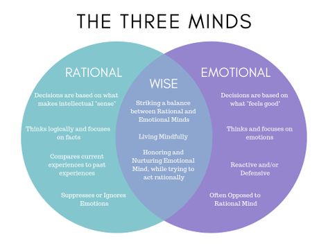 The 3 Minds: Emotional, Rational, and Wise Wise Mind, Therapy Tools, Learn A New Language, Human Mind, Mental And Emotional Health, Coping Skills, Emotional Intelligence, Emotional Health, Self Development