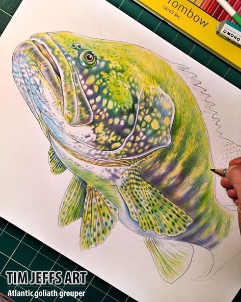 Tim Jeffs Art on Instagram: “***WIP #3: Atlantic Goliath Grouper*** Moving along on my drawing of this Gigantic Fish! All 1000 pounds of it!! Drawn with a combination…” Goliath Grouper, Rhino Painting, Print Making Designs, Pencil Project, Intricate Art, Sketching Ideas, Fish Drawings, Sea Art, Fish Painting