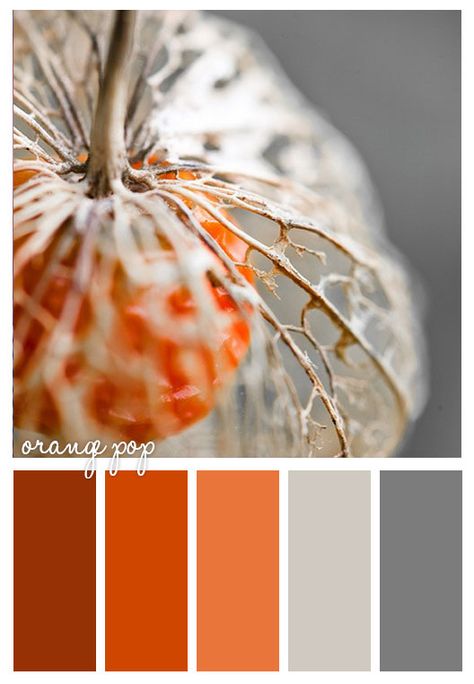 Gold On The Ceiling - Orange pop #orange #color #gray #inspiration Exterior Color Combinations, Deco Orange, Room Paint Colors, Color Palate, Color Balance, Paint Colors For Living Room, Colour Board, Color Stories, Room Paint