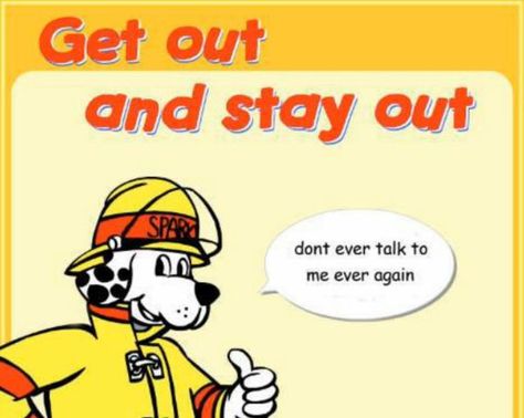 Sparky The Fire Dog, Fire Dog, Reaction Image, Spicy Memes, Dead Memes, Curse Words, Reaction Images, Weird Images, Reaction Memes