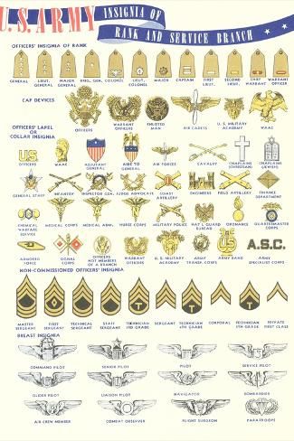 size: 18x12in Art Print: US Army Rank and Service Insignia : Army Combat Engineer Tattoos, Army Unit Patches, Us Army Uniform, Us Army Patches, Teaching Government, American History Timeline, Military Ribbons, 3d Svg Files, Army Ranks