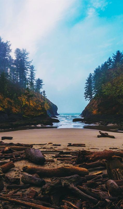 Dead Man's Cove Beach at Cape Disappointment in Ilwaco, Washington • photo: Pedalhead'71 on Flickr Cape Disappointment, Washington Travel, The Oregon Trail, Evergreen State, To Infinity And Beyond, Oh The Places Youll Go, Washington State, Travel Dreams, Cool Places To Visit