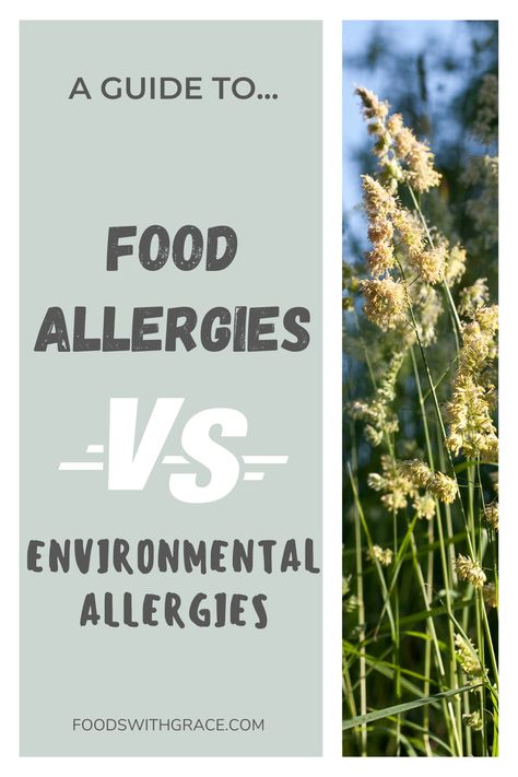 A guide to food allergies vs environmental allergies - Foods with Grace Food Allergy Awareness, Food Allergies Awareness, Allergy Awareness, Allergic Rhinitis, Pollen Allergies, Allergy Testing, Food Allergens, Seasonal Allergies, Lymph Nodes