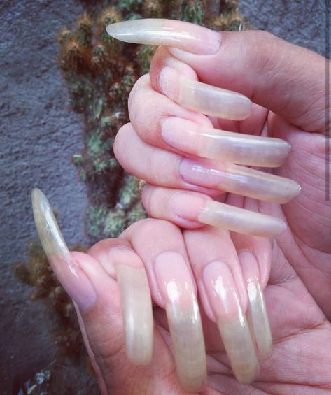 Bare nails  #longnaturalnails Long French Tip Nails, French Manicure Acrylic Nails, Bare Nails, Long Natural Nails, Long Fingernails, Curved Nails, Nails Natural, Finger Nail Art, Long Nail Designs