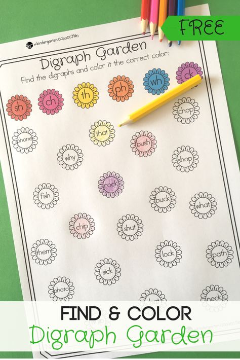 Grab our FREE Printable Find & Color Garden Digraph Activity for your springtime literacy center! With 4 ways to play, this center will be a hit! #digraphs #phonics #wordwork #literacy #literacycenters #freeprintable #kindergarten #firstgrade Digraph Activity, Teaching Digraphs, Find And Color, Kindergarten Word Families, Word Work Kindergarten, Digraphs Activities, Activity For Kindergarten, Literacy Activities Kindergarten, Kindergarten Freebies