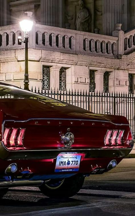 1967 Ford Mustang GT somewhere in Mexico. Old Mustang, 240z Datsun, Mustang 67, Ford Mustang Fastback, Classic Mustang, Mustang Fastback, Shelby Gt500, Mustang Cars, Expensive Cars