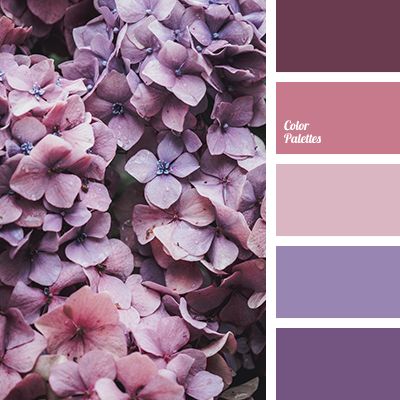 Pastel Palettes | Page 4 of 265 | Color Palette Ideas Violet Color Palette, In Color Balance, Purple Palette, Color Palette Ideas, Purple Color Palettes, Color Palette Challenge, Color Schemes Colour Palettes, Pink Palette, Palette Ideas