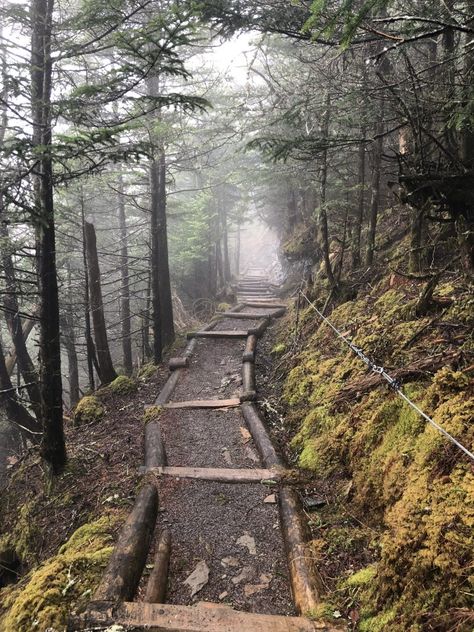 Leconte Lodge, Smokey Mountains National Park, Fall Vacation, Mountain Landscape Photography, Mountains Aesthetic, Landscape Photography Tips, North Carolina Mountains, Scenic Photography, Small Waterfall