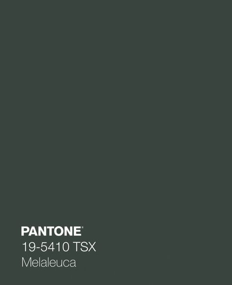 Dark Green Colour, Green Walls, Green Photo, Green Colour, Winter House, Color Collection, Color Swatches, Pantone Color, Color Theory