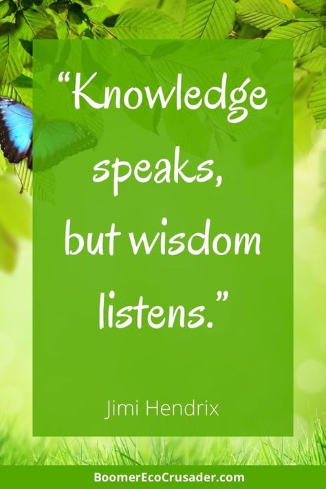 There's no shortage of knowledge in the world, but wisdom is more scarce. Click through to learn the difference between wisdom and knowledge, and how you can cultivate wisdom in your life. Quotes On Wisdom And Knowledge, Knowledge And Wisdom Quotes, Jimmie Hendricks, What Is Knowledge, Poem Writing, Spirituality Quotes, Wisdom Thoughts, More Knowledge, Retreat Ideas