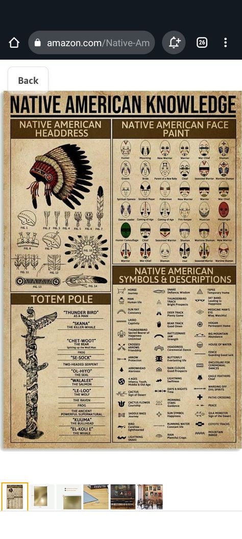 Native American Knowledge, Native American Face Paint, Native American Beliefs, Native American Mythology, Native Symbols, New Warriors, Native American Symbols, American Symbols, Native American Crafts