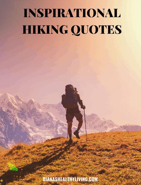 Looking for inspirational hiking quotes? Here is a list of the most motivational hiking captions for those who love the outdoors and adventure. #hiking #hikingquotes #adventure #adventurequotes #instagram Hiking Inspiration Quotes, Hiking Motivation, Hike Quotes, Trails Quotes, Motivational Captions, Clear My Mind, Inspirational Scripture Quotes, Reconnect With Nature, African Proverb