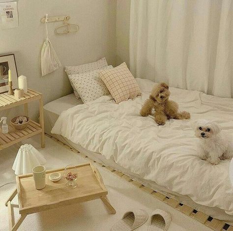 Minimalistic Korean Room, Cozy Simple Room, Korean Style Bedroom Aesthetic, Simple Cute Bedroom, Korean Inspired Bedroom, Floor Bed Aesthetic, Korean Minimalist Room, Bedroom Korean, Korean Room