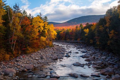 Littleton New Hampshire, New England Foliage, Fall Is My Favorite Color, Fall In New England, Autumn Essentials, White Mountain National Forest, Road Trip Routes, Leaf Peeping, Fall Reading