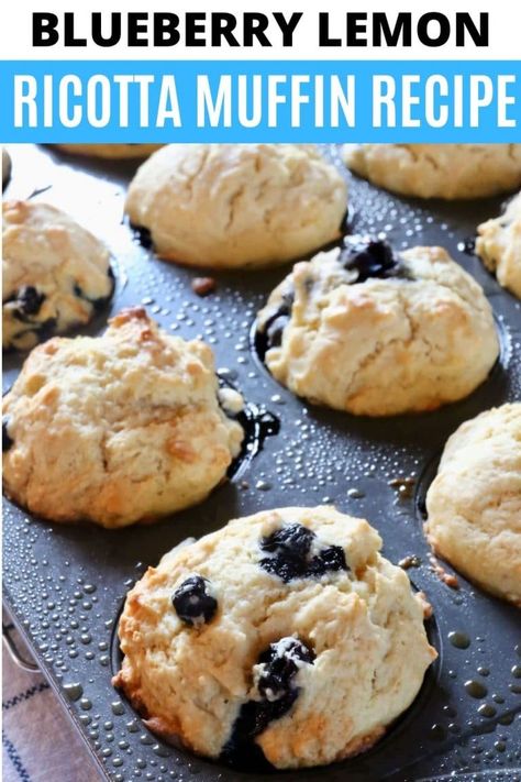 Lemon Blueberry Cottage Cheese Muffins, Blueberry Muffins With Ricotta Cheese, Ricotta Cheese Muffins, Blueberry Ricotta Scones, Lemon Ricotta Muffins Healthy, Lemon Ricotta Blueberry Muffins, Fast Muffin Recipes, Ricotta Muffins Healthy, Blueberry Ricotta Muffins