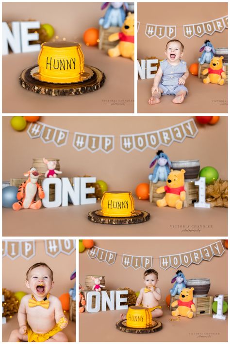 Pooh Bear Cake Smash, Winnie The Pooh Cake Smash Photography, Honey Pot Smash Cake Winnie The Pooh, Winnie The Pooh One Year Old Pictures, Pooh Bear One Year Old Party, Tigger Smash Cake, Winnie The Pooh Hunny Pot Cake, Winnie The Pooh 6 Month Photos, Pooh Bear Smash Cake