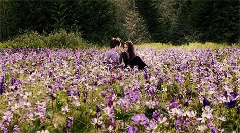 Twilight Flower Field, Twilight Gif, Twilight Images, Bella And Edward, Vampire Twilight, Twilight Cast, Twilight Edward, Twilight Photos, Twilight Sky