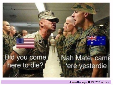 "How dangerous is Australia?" "Even the strawberries are trying to kill us." Aussie Memes, Funny Aussie, Australian Memes, Australia Funny, Military Memes, Military Humor, Come Here, Funny Relationship, Super Funny