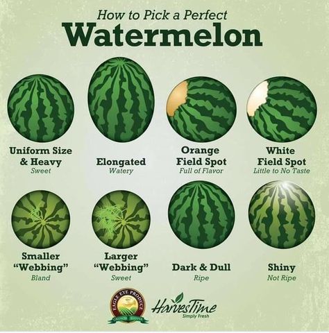 Good Watermelon, Types Of Watermelon, Perfect Watermelon, Eagle Eye, Watermelon, Fruit