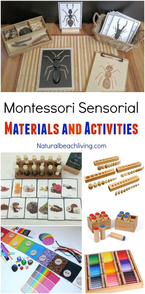 Montessori Sensorial Materials Every Child Will Love, Perfect Montessori Activities and Montessori Materials for Preschool, Sensory, Smelling bottles, Color Montessori Trays, Montessori Activities Preschool, Preschool Sensory, Montessori Science, Montessori Color, Maluchy Montessori, Montessori Books, Montessori Lessons, Toys Montessori