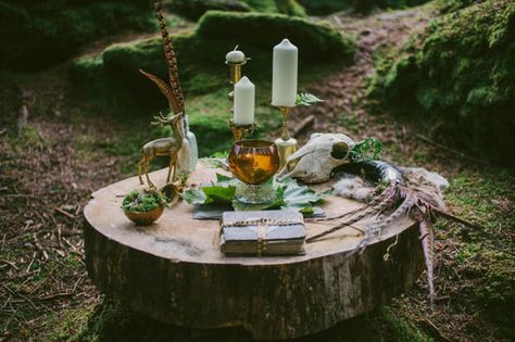 Woodland Wedding Inspiration, Pagan Wedding, Witch Garden, County Cork, Spring Equinox, Celtic Wedding, Irish Wedding, An Elf, Woodland Theme