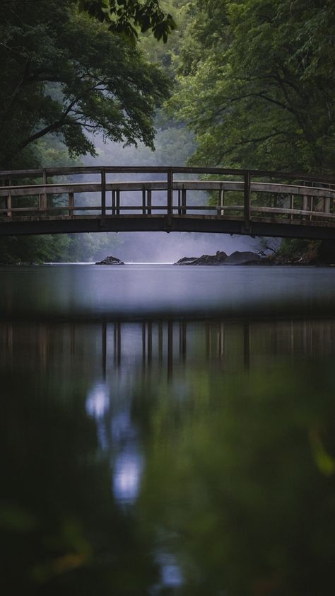 Discover the most beautiful bridges around the world through stunning photography in this blog post Explore the intricate architecture nature surroundings and captivating designs captured in photos Whether you enjoy photography architecture nature or art these bridge images will surely inspire you From breathtaking scenery to unique structural details each photograph tells a story Immerse yourself in the world of bridge photography from minimalist designs to vibrant backgroun Bridge Images, Pictures Of Bridges, Intricate Architecture, Beautiful Bridges, Architecture Nature, Breathtaking Scenery, Sunrise Painting, Bridge Photography, Photography Architecture