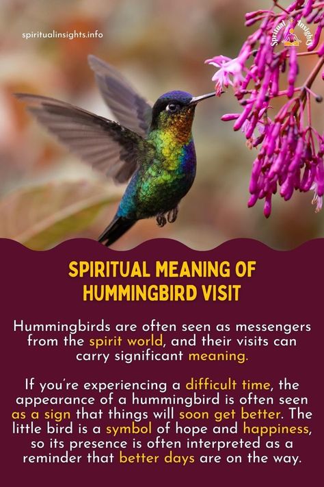 Spiritual Meaning of Hummingbird Visit Meaning Of Hummingbird, Hummingbird Spiritual Meaning, Hummingbird Quotes, Hummingbird Meaning, Hummingbird Symbolism, Spirit Animal Meaning, Nature Quotes Adventure, Symbolic Meanings, Spiritual Animal