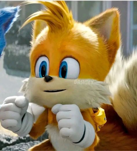 Tails The Fox Sonic Movie, Sonic 2 Movie, Tails Sonic The Hedgehog, Tails Sonic, Sonic The Movie, Sonic 2, Why I Love Him, Hedgehog Movie, Sonic 3