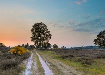 Genieten van de geschiedenis en natuur in Drenthe: 3x3 tips The Netherlands, Netherlands, Country Roads, Road, Van, Travel, Nature