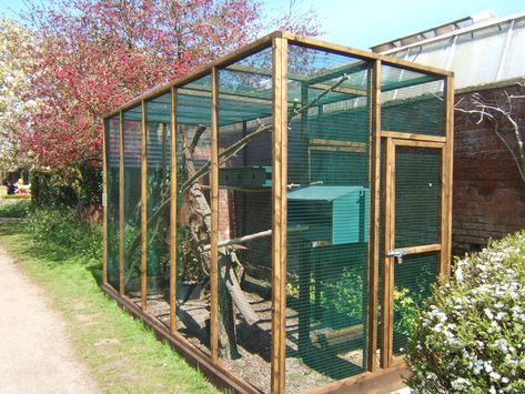 Swinhoe`s Striped Squirrel enclosure Outdoor Squirrel Enclosure, Squirrel Enclosure Diy, Wildlife Rehabilitation Enclosures, Pet Squirrel Cage Ideas, Squirrel Cage Ideas, Raccoon Enclosure, Squirrel Enclosure, Squirrel Habitat, Pet Squirrel