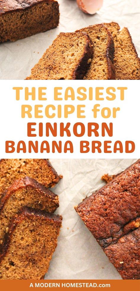 Craving something cozy? Discover the joy of baking with einkorn flour in this easy banana bread recipe! Savor the flavor of homemade einkorn banana bread – a quick and tasty recipe for busy days. Transform overripe bananas into a mouthwatering delight with this easy einkorn banana bread recipe. Einkorn Flour Banana Bread, Fresh Milled Banana Bread, Einkorn Banana Bread, Einkorn Bread Machine Recipe, Fresh Milled Flour Recipes, Healthy Homemade Bread, Homemade Staples, Einkorn Bread, Strawberry Banana Bread