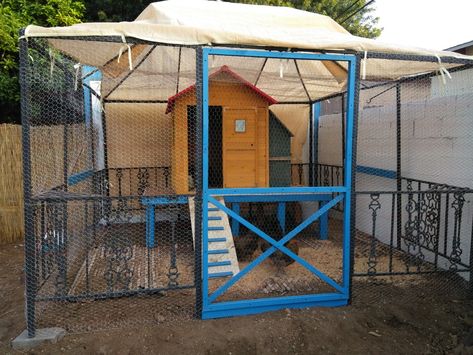 Repurposed steel gazebo into chicken coop Gazebo Chicken Coop, Party Gazebo, Steel Gazebo, Acre Homestead, Canvas Canopy, Chicken Garden, Chicken Runs, Diy Chicken Coop, Chicken Diy