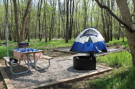 Camp in one our the new campsites at Powhatan State Park, at Powhatan State Park, Va Dispersed Camping, State Park Camping, Camping Must Haves, Virginia Travel, Backcountry Camping, Virginia State, Shenandoah National Park, Cabin Camping, New River