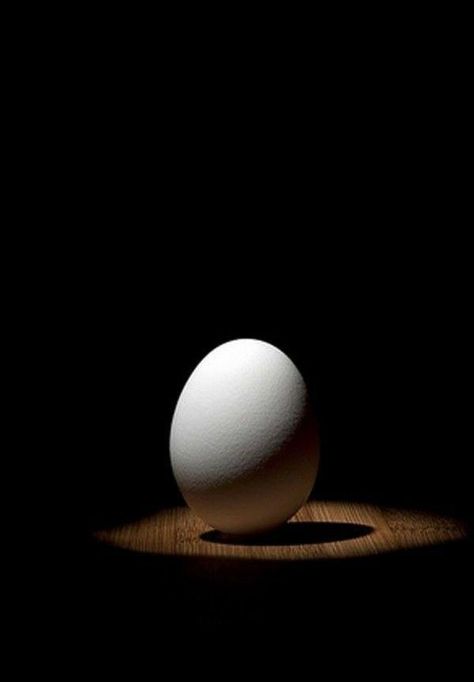 Egg Photos, Low Key Photography, Shading Drawing, Life Drawing Reference, Still Life Images, Geometric Shapes Art, Object Photography, Light Study, Shadow Photography